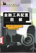 金融工具配置图解9787307037595武汉大学出版社