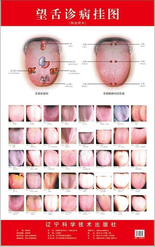 望舌诊病挂图 周幸来【正版】