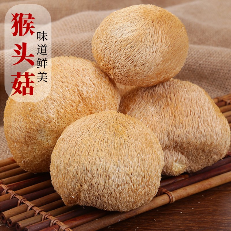 猴头菇干货 农家无硫猴头菌 特产山珍食用菌菇 火锅煲汤材料 200g猴头