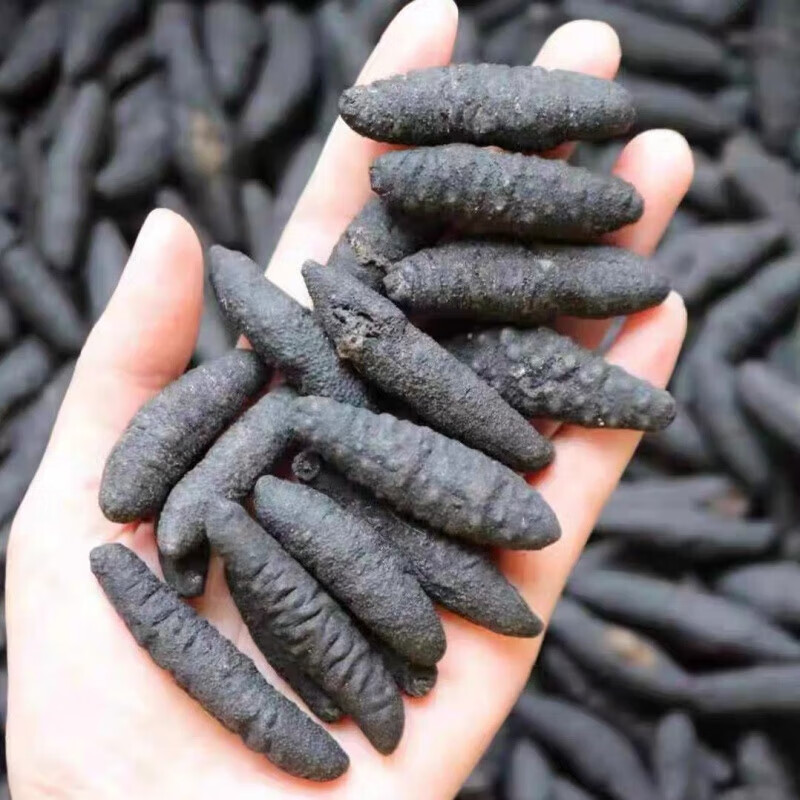 进口海参干货淡干海参冰岛米刺参非大连海参 80-90头土耳其参(惠享)