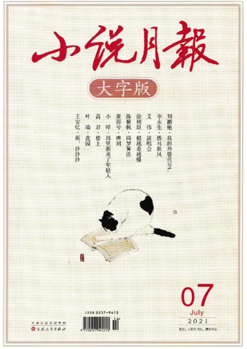 小说月报大字版 2021年7月 京东