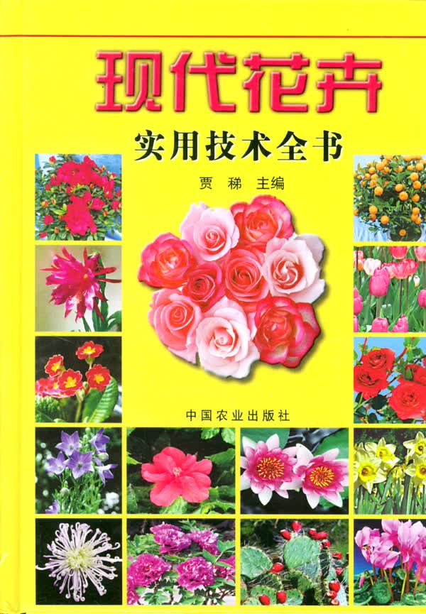 现代花卉实用技术全书【正版精选】