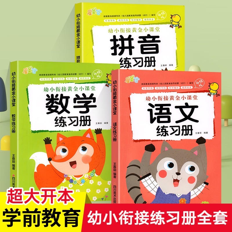 幼小衔接教材全套幼儿园大班升小学一年级入学准备训练习题学前班中大班幼儿拼音数学语文练习册全套儿童宝宝早教启蒙用书一日一练 【全套3册】幼小衔接练习册全套属于什么档次？