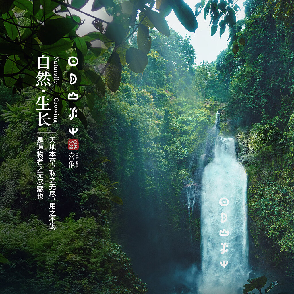 喜象(XI XIANG)植物洗发水 人参花 去屑 滋润防毛躁 防断 植物氨基酸温和洗发水 护沐浴露 275g 草本倍护干性发质(中性适用)