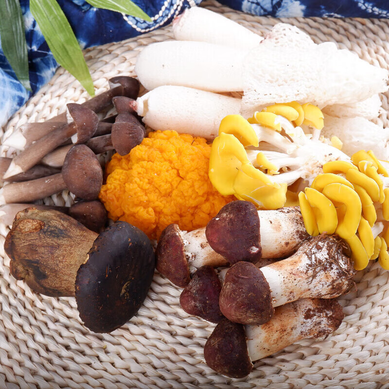 禾澹新鲜云南特产食用菌菇火锅组合斤竹荪鸡枞牛肝菌姬松茸 新鲜菌菇