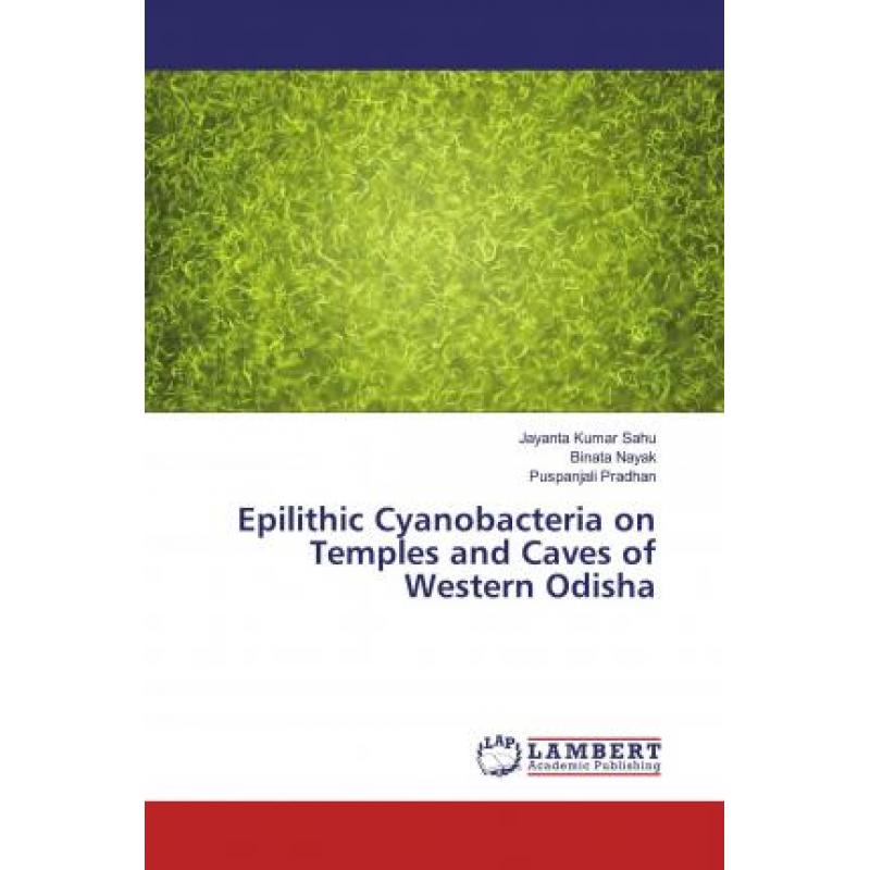 【4周达】epilithic cyanobacteria on temples and caves of western