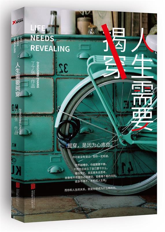 人生需要揭穿 丁丁张著【正版】
