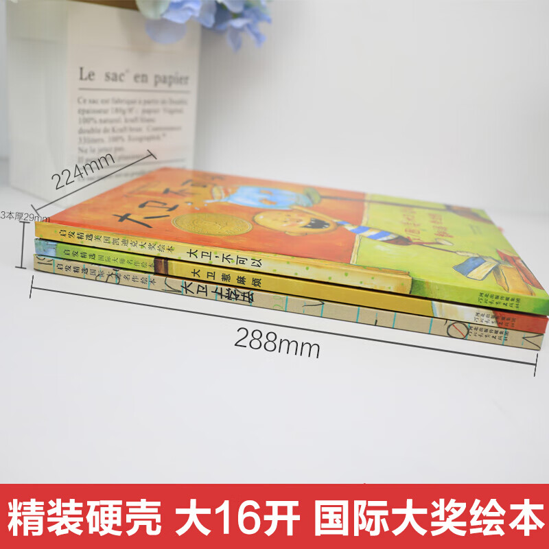 38326-【可乐】大卫不可以绘本系列 世界获奖经典儿童绘本0-3-6岁 平装 大卫不可以【5册】-详情图