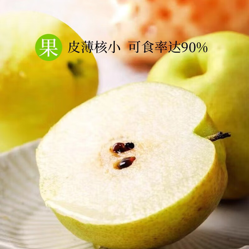 橙尚宫山西玉露香梨新鲜梨子脆冠苹果甜梨当季现摘水果红酥甜青梨整箱 9枚特大果【单果90mm+】出口特级