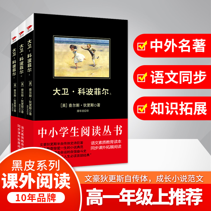 大卫·科波菲尔 (英)查尔斯·狄更斯(Charles Dickens) ;潘华凌 译 作 书籍