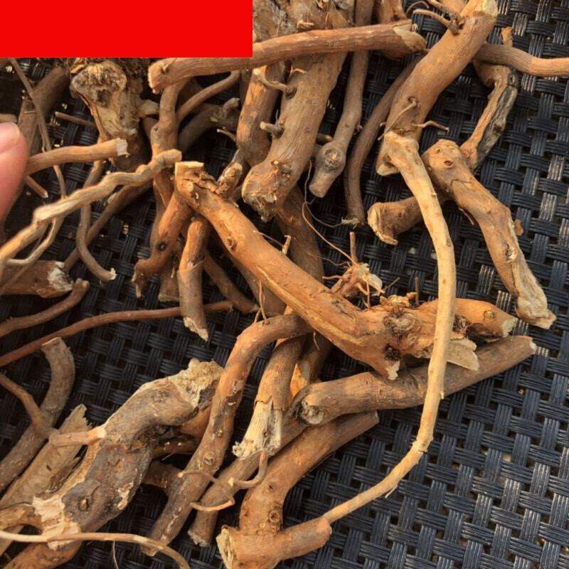 东北托莫根树莓根小兴安岭食品250g托摩根脱莫根大兴安岭 500g