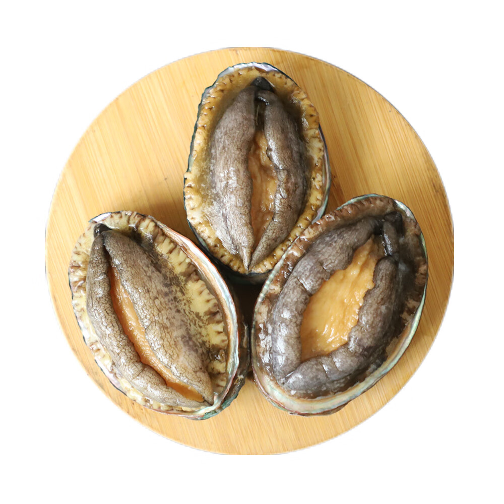 小平岛【活鲜】小平岛大鲍鱼500g大连新鲜海捕鲍鱼海鲜水产鲜活活鲜 6