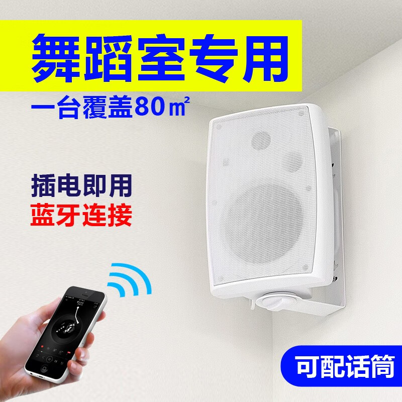 AITES舞蹈教室专用蓝牙壁挂音箱舞蹈室会议室带话筒重低音有源喇叭挂墙音响无线麦克风教学连一体机电脑 白色主音响