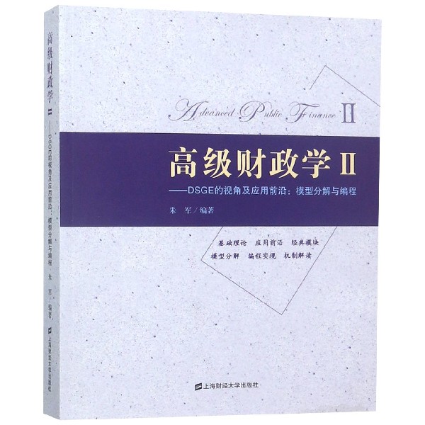 高级财政学II--DSGE的视角及应用前