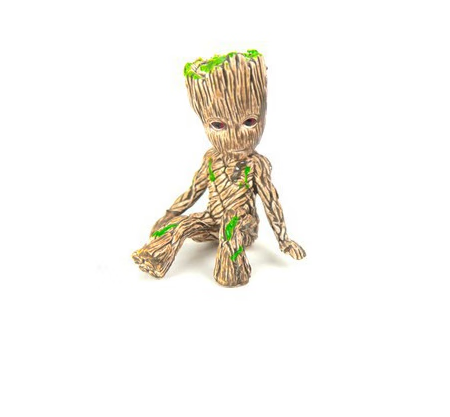 开花带芽水养格鲁特带盆水养懒人花巴坦木室内办公桌 格鲁斯一个 含盆