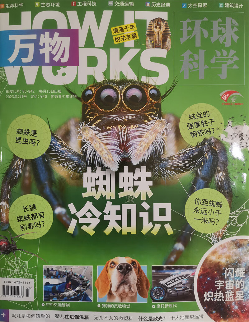 万物 2023年2月号 本期封面主题：蜘蛛冷知识 中小学生科普百科 青少年课外阅读  中文版科学属于什么档次？