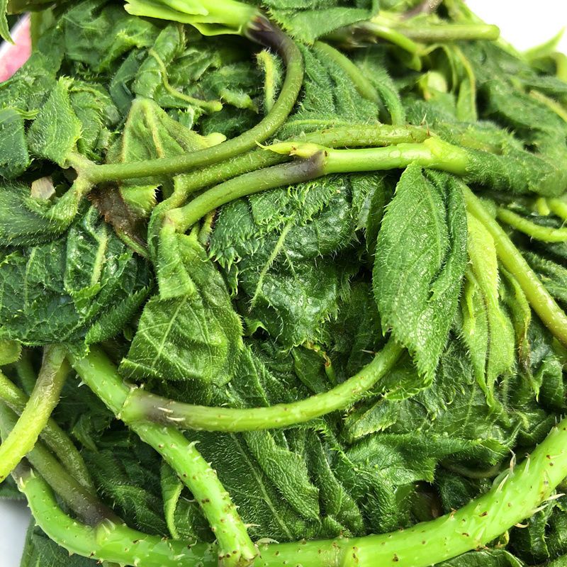 东北特产新鲜刺五加叶子山野菜水焯速冻(无水净重) 半斤