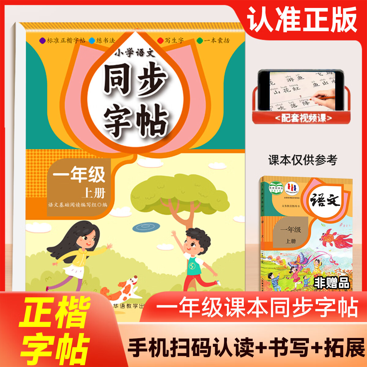 【新品】小学语文讲与练(全20册) 新品】小学语文讲与练(全20册) 新华正版2025新版小学语文课本