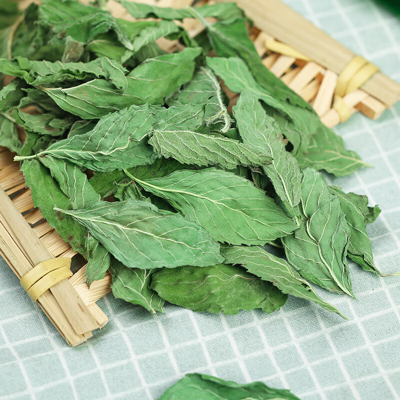 薄荷叶新鲜干薄荷茶叶散装泡水喝的东西清凉