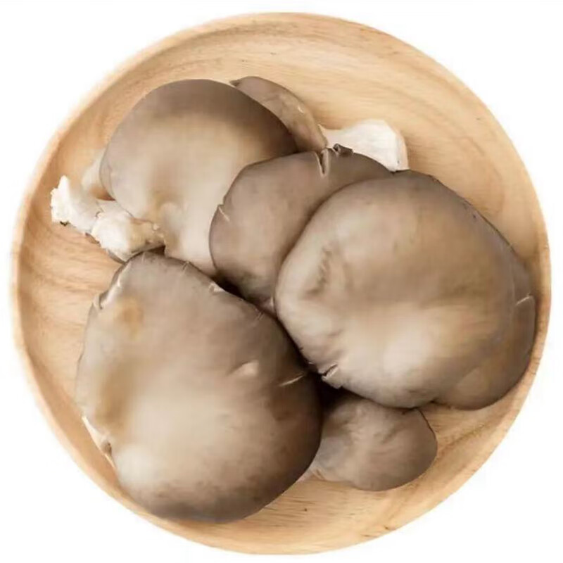 小汤山 北京 灰平菇 300g 基地直供新鲜蔬菜