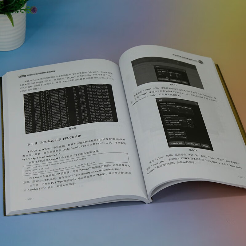Linux高可用负载均衡集群实践真传详情图