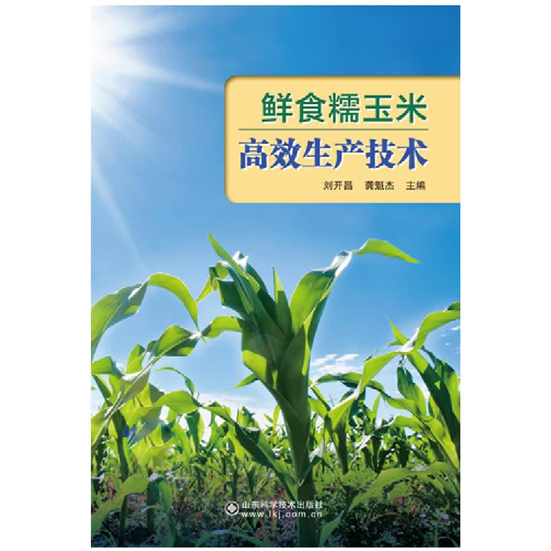 鲜食糯玉米高效生产技术