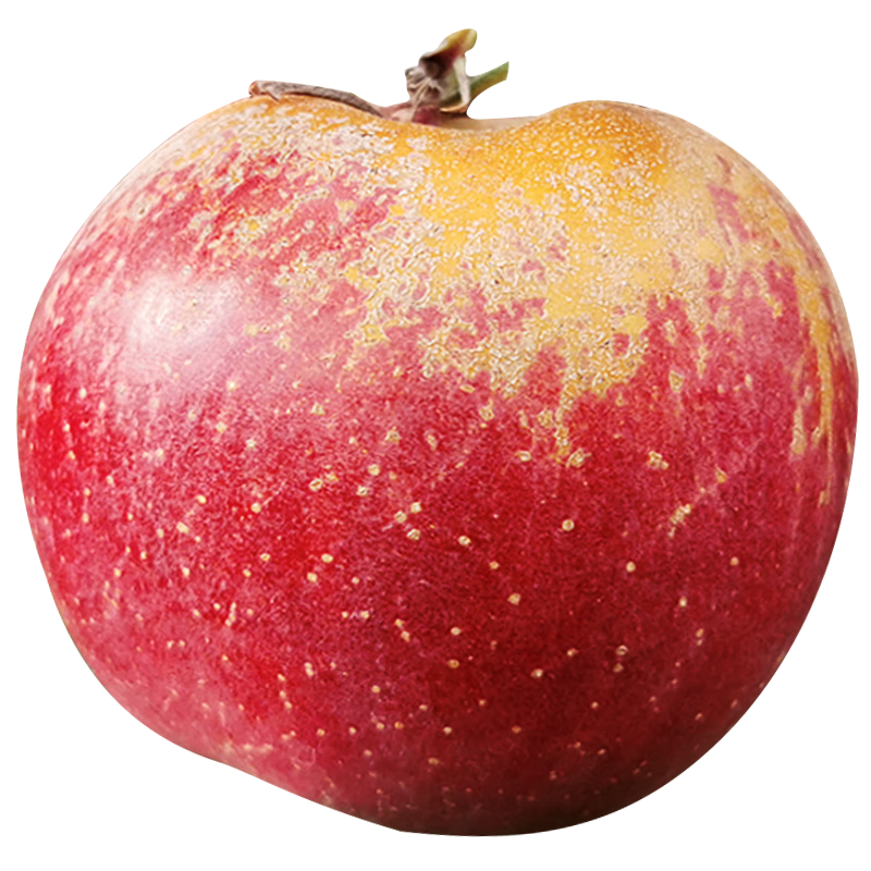 ڲ ڴɽƻ ӦʱˮĴƻ츻ʿ 5 60-65mm 15.5Ԫ