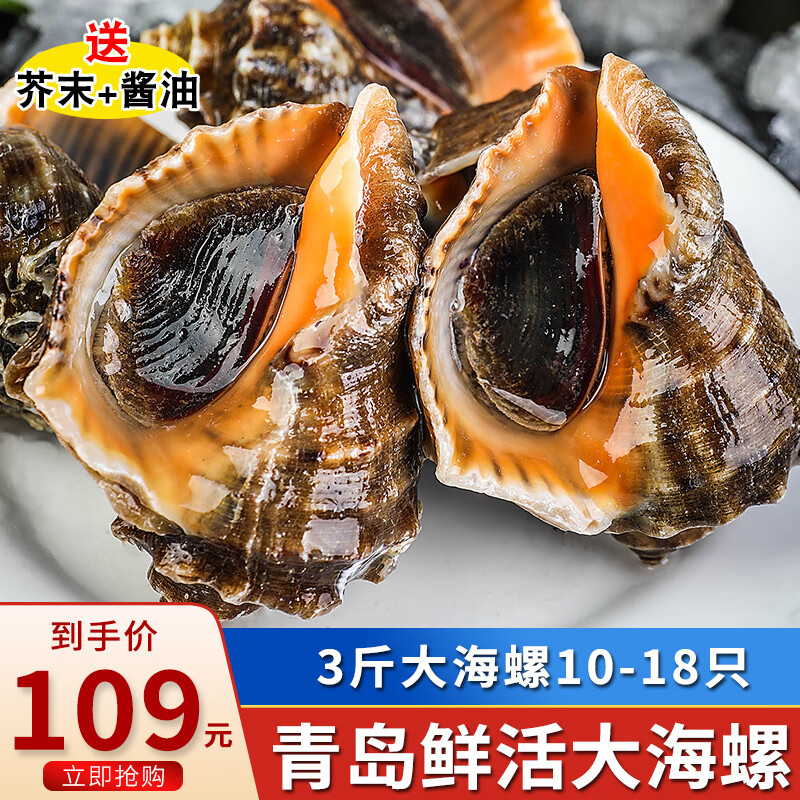 海宏盈【活鲜】 青岛大海螺鲜活 1500g 海鲜贝类生鲜 大规格共13-18只 1500g