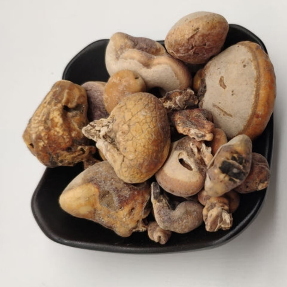 伟博中药材  须元果 无根果 隐孔菌 树荷包觅阳果 100克