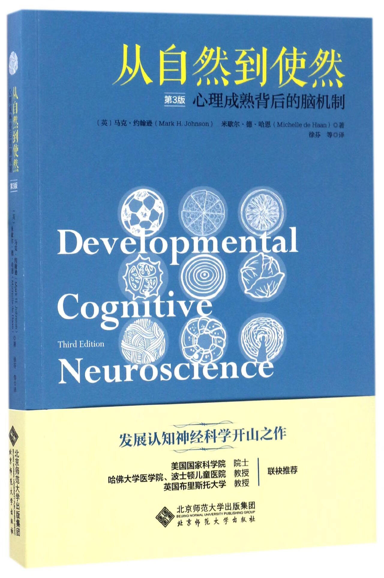 从自然到使然(心理成熟背后的脑机制第3版)马克·约翰逊9787303205486