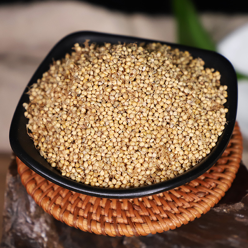 谷芽中药500克无硫熏新鲜干货生谷芽可搭生麦芽山楂kf 500克/袋