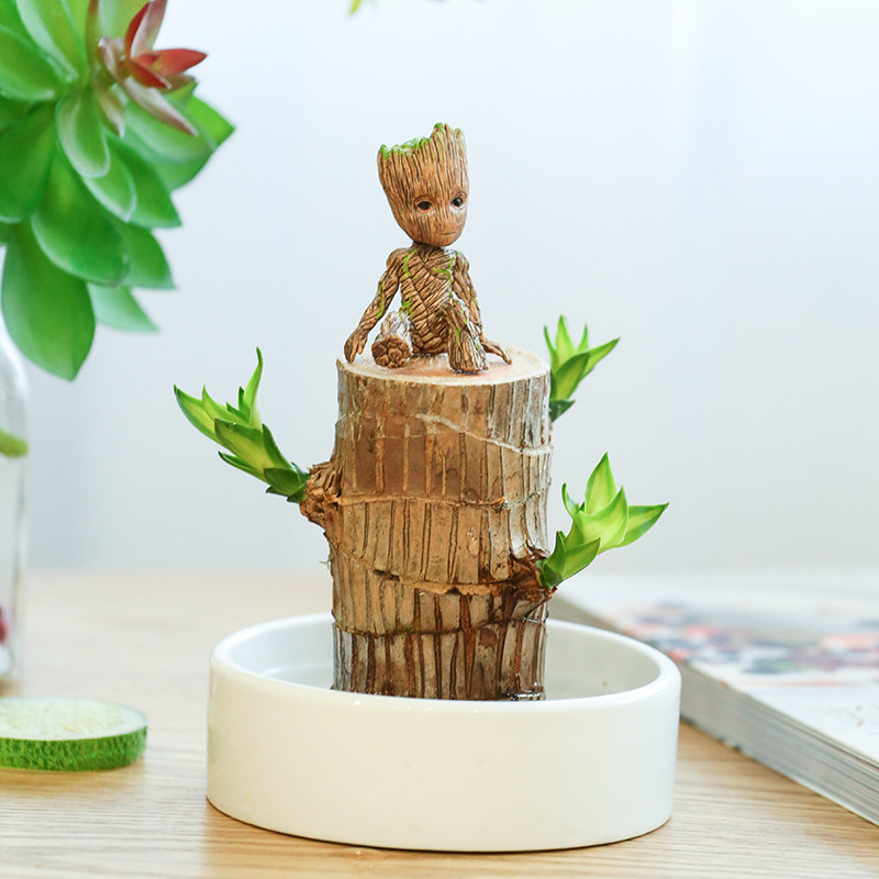 如何查看京东花卉商品历史价格|花卉价格走势