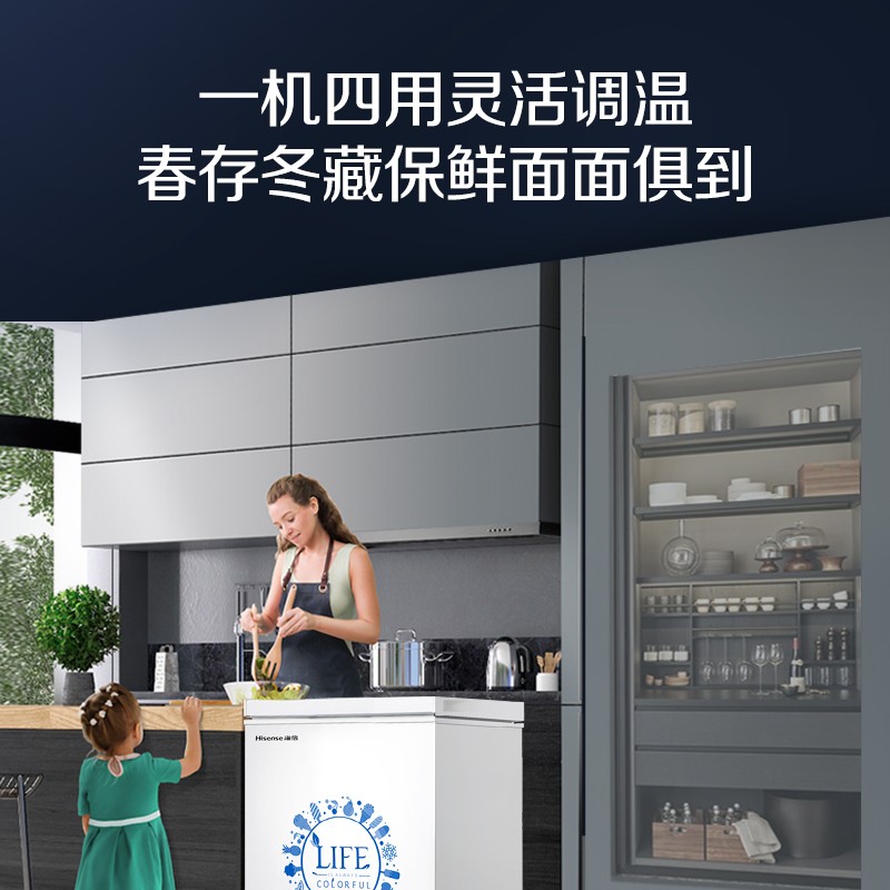 海信（Hisense）100升 冷藏冷冻转换冰柜 小型家用迷你冷柜 单温母婴母乳节能省电小冰箱BD/BC-100N/A