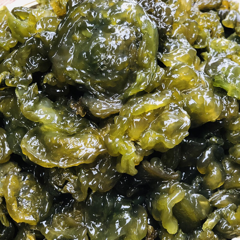 教蔬鲜生地皮菜新鲜食用湿地衣地木耳雷公菌500g 500g