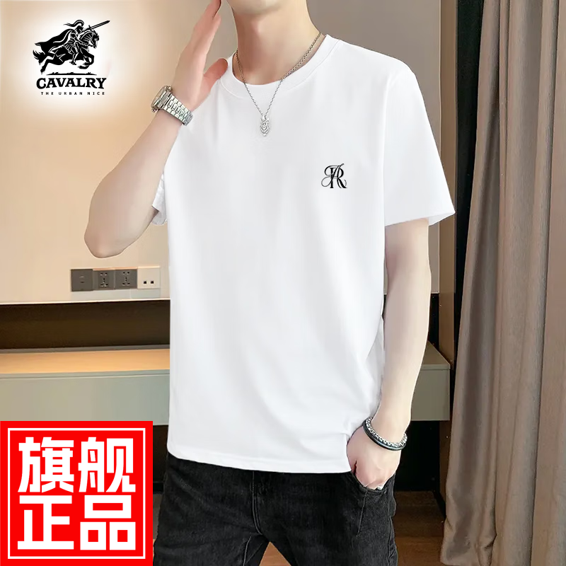 THE URBAN NICE官方品牌纯棉t恤男2025春夏款短袖上衣男商务休闲冰丝棉男士短袖 雅致灰 5XL 码【建议185-210】-T恤