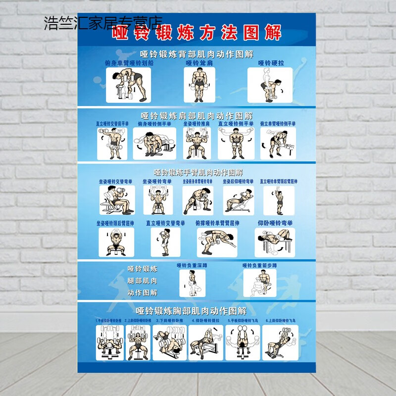 哑铃锻炼方法图解 厚pp胶(背面带胶)40*60厘米=24