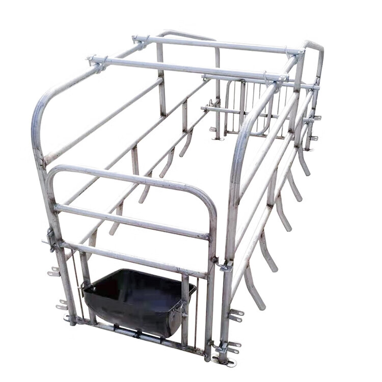 加厚单体母猪定位栏两用一体分娩床落地式产床保育猪用设备双体 基础