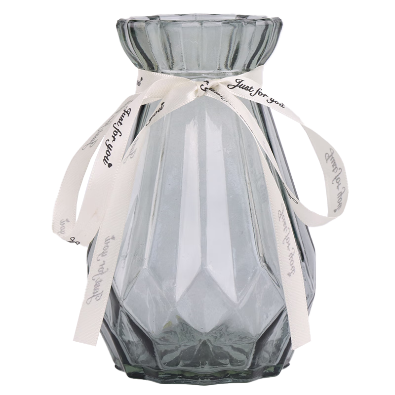 TaTanice 玻璃花瓶 15cm插花瓶干花仿真花水培器插花器玫瑰百合花客厅摆件