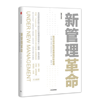 新管理革命:知识经济如何重塑组织和管理