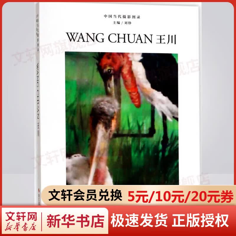 中国当代摄影图录王川