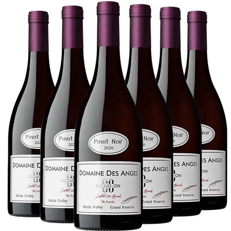 云汇黑皮诺特级珍藏grand reserve红酒智利中央山谷新世界干红葡萄酒