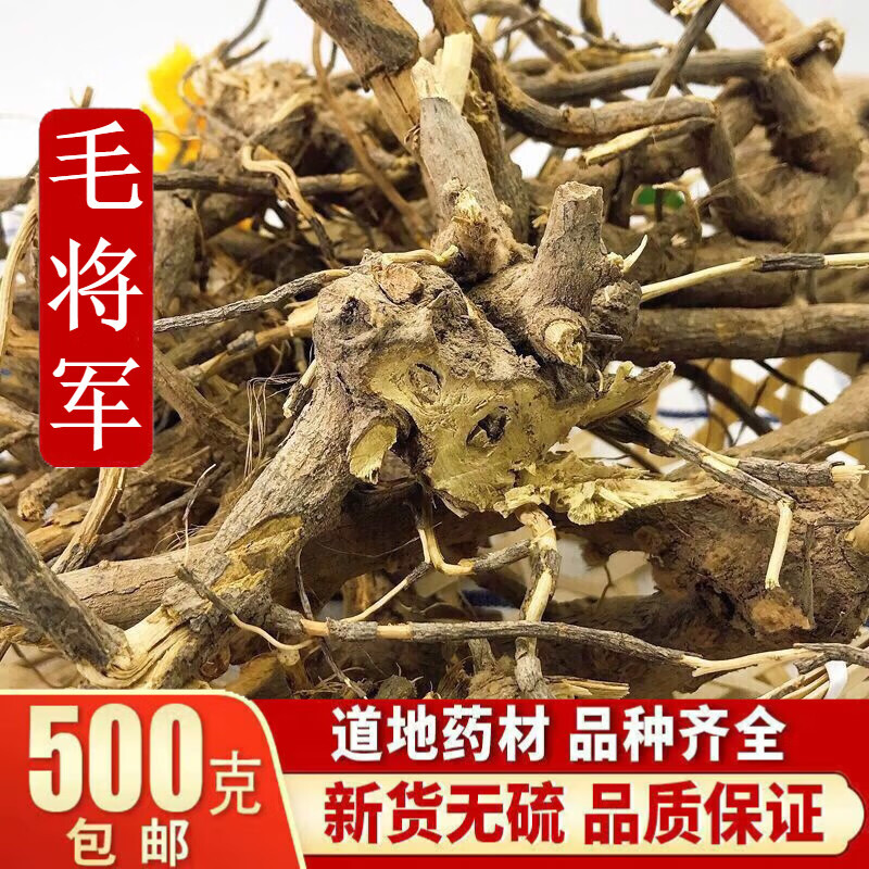 福建闽南毛将军过饥草根野生兔子耳过枝草土丁桂白头翁山白芷 l斤