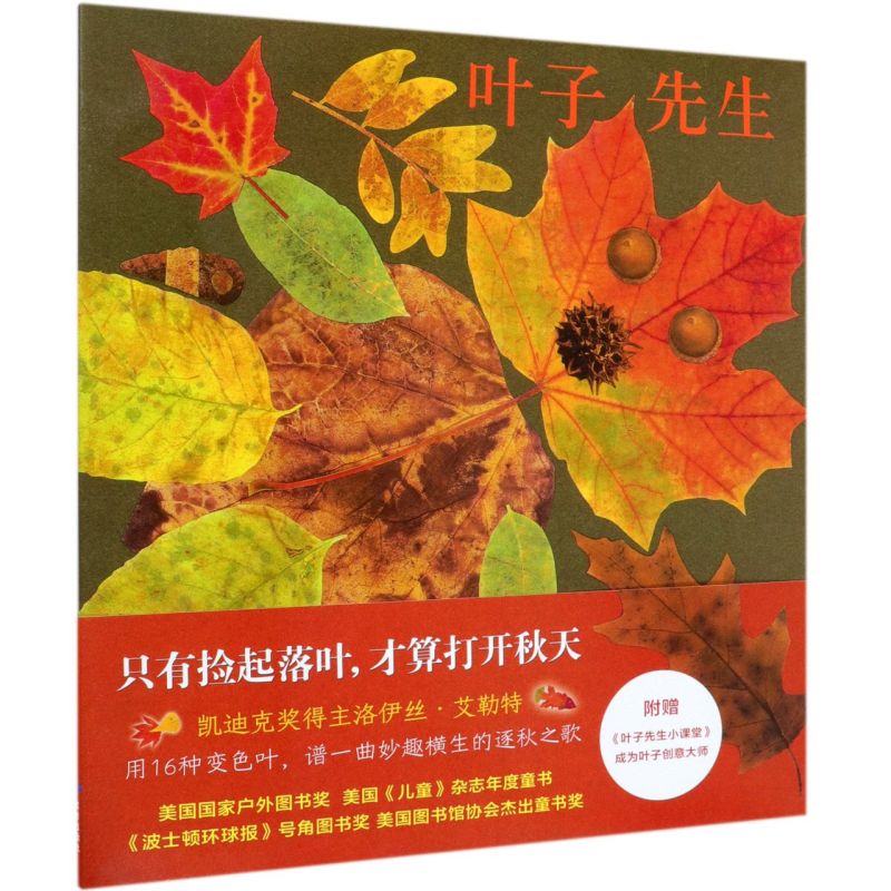 【新华书店正版】叶子先生(精) (美)洛伊丝·艾勒特 学龄前儿童 绘本