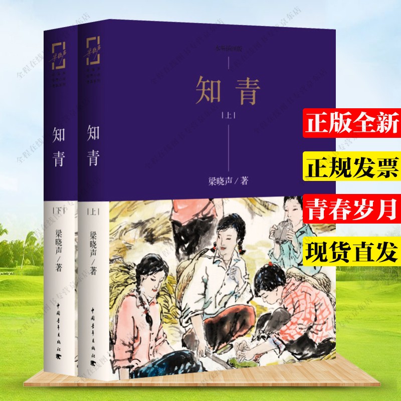 知青 梁晓声经典文学小说作品 全2册 未删减版 中国青年出版社