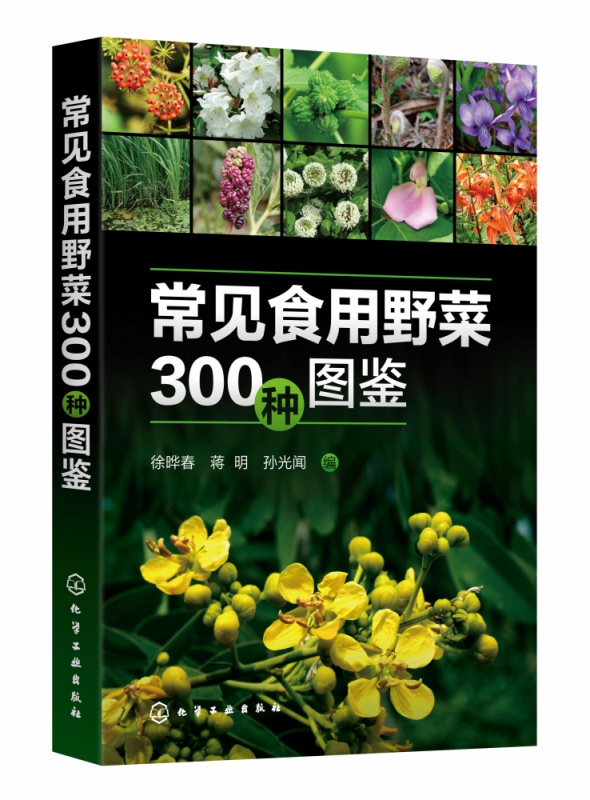 常见食用野菜300种图鉴