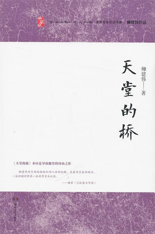 柳建伟作品:天堂的桥 柳建伟 湖南文艺出