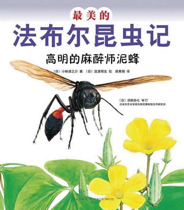 美的法布尔昆虫记:高明的麻醉师泥蜂【正版图书】