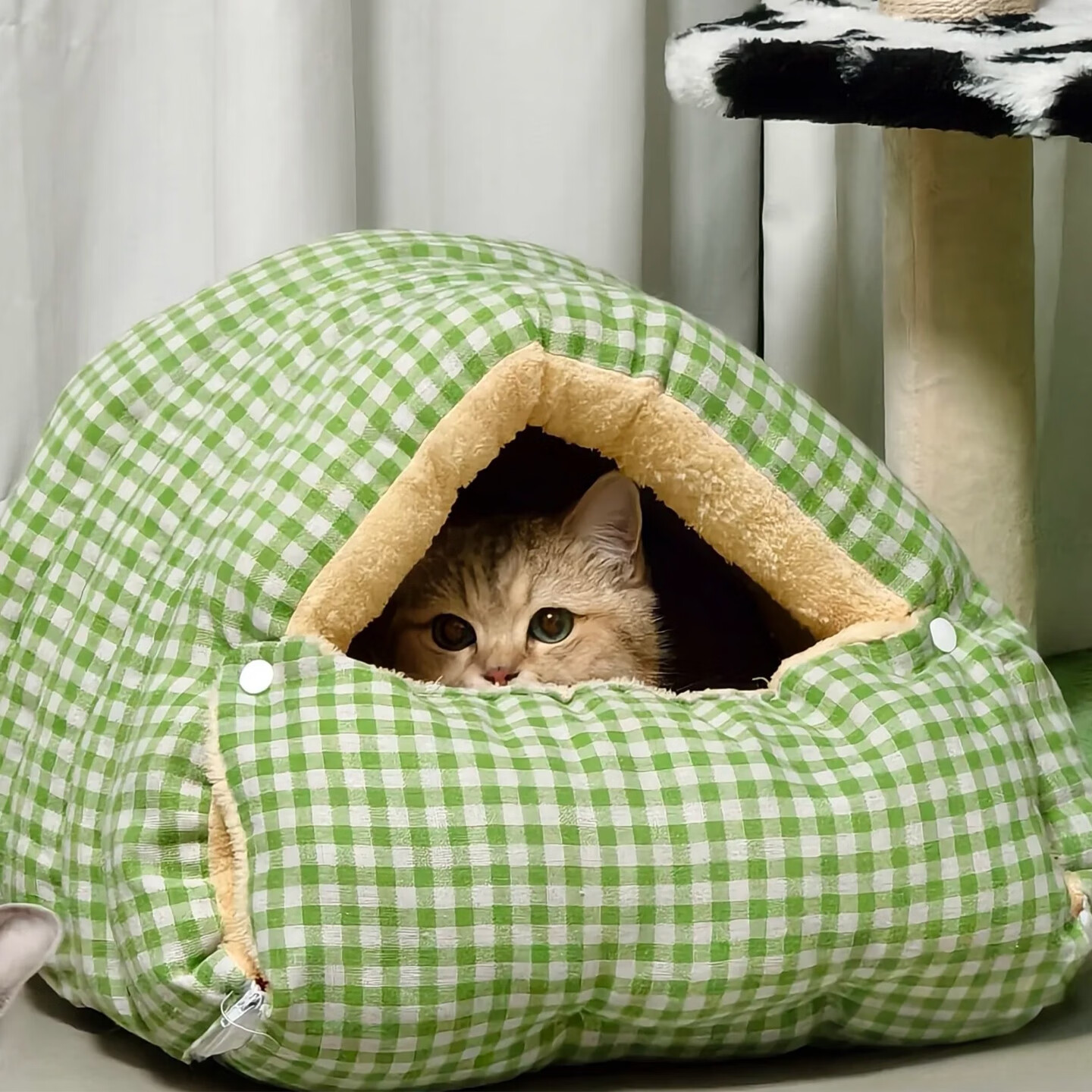 柒哦猫窝保暖半封闭式冬季可拆洗四季通用猫咪窝狗窝猫床猫屋幼猫窝垫 绿白格【睡袋猫窝】防风保暖 冬季优选 L【推荐15斤内宠物】