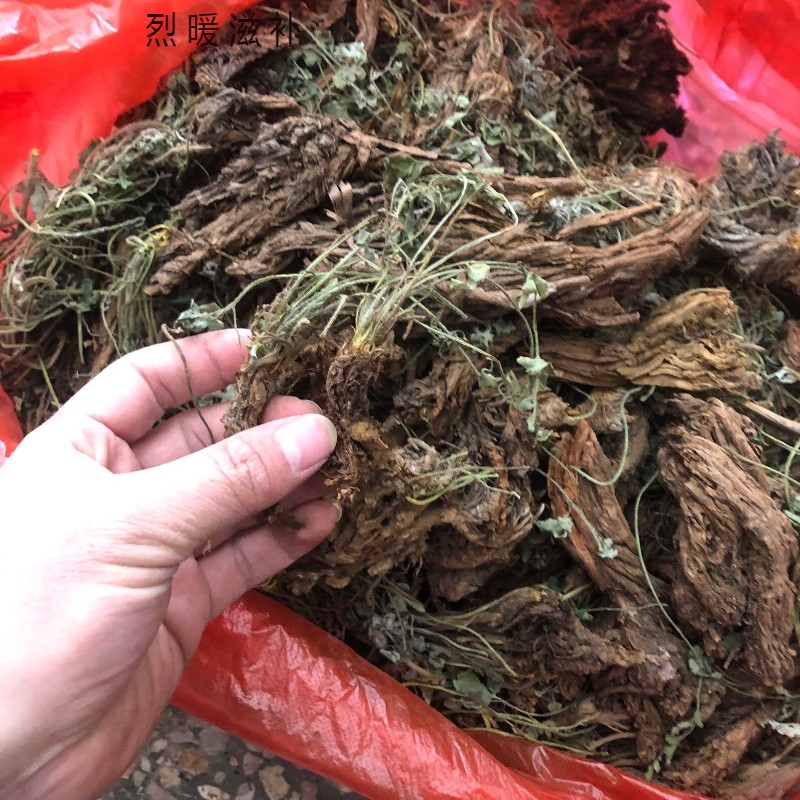 伟博广西百分百岩黄连  石壁莲  土黄连 50g 50g