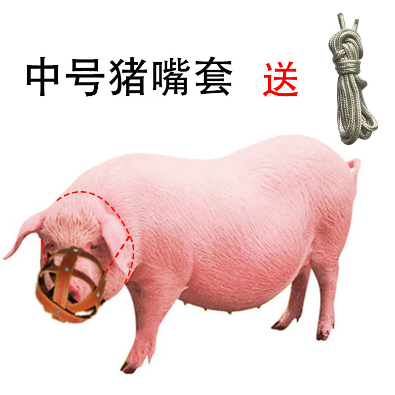 慈爵母猪防咬套猪嘴套笼罩保护仔猪神器防咬架马牛羊防吃东西专用猪仔